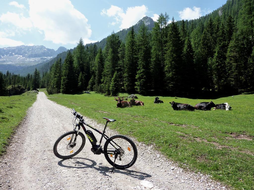 Appartamenti Majon Sotroi Campitello di Fassa Kültér fotó